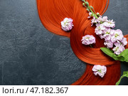Красивые цветы на тёмном фоне с красивыми волосами имеющими оттенок имбиря, крупным планом. Стоковое фото, фотограф Pixel_shot / Фотобанк Лори