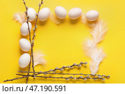 Рамка из пасхальных яиц, перьев и ивовых веток на желтом фоне. Стоковое фото, фотограф Pixel_shot / Фотобанк Лори