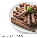 Тарелка с вкусными шоколадными вафельными трубочками и мятой на белом фоне. Стоковое фото, фотограф Pixel_shot / Фотобанк Лори