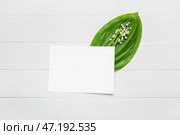 Красивые цветы ландыша и пустая карточка на светлом деревянном фоне. Стоковое фото, фотограф Pixel_shot / Фотобанк Лори