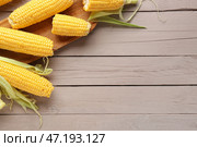Доска с свежими початками кукурузы на сером деревянном фоне. Стоковое фото, фотограф Pixel_shot / Фотобанк Лори