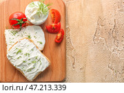 Деревянная доска вкусных сухариков со сливочным сыром и помидорами на цветном фоне, крупным планом. Стоковое фото, фотограф Pixel_shot / Фотобанк Лори