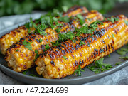 Aromatic roasted corn with a delicious golden crust covered with dark, toasted grill marks. The cobs are garnished with freshly chopped herbs, perhaps parsley or cilantro. The dish looks juicy and inviting, and the combination of the bright yellow corn and the green shades of the herbs creates a harmonious contrast. The dark plate highlights the rich colors of the dish, creating a warm and cozy atmosphere. Стоковое AI-изображение, AI-художник Анна Кривицкая / Фотобанк Лори