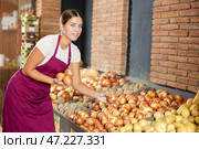Girl seller of garden stuff store is replenishing showcase with vegetables, puts onion on showcase. Стоковое фото, фотограф Яков Филимонов / Фотобанк Лори