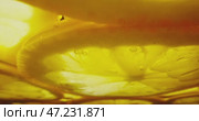 A CloseUp Image of a lemons Shimmering Golden Liquid that has Bubbles Floating in It, Captured Beautifully. Стоковое видео, видеограф Владимир Ковальчук / Фотобанк Лори
