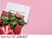 Открытка с текстом VIELEN DANK, блокнот, подарочная коробка и цветок розы на розовом фоне. Стоковое фото, фотограф Pixel_shot / Фотобанк Лори