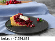 Тарелка с кусочком вкусного брусничного пирога и соусом на столе, крупным планом. Стоковое фото, фотограф Pixel_shot / Фотобанк Лори