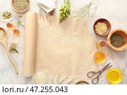 Пустой лист бумаги с текстом АЛХИМИЯ и ингредиенты для приготовления зелий на светлом фоне. Стоковое фото, фотограф Pixel_shot / Фотобанк Лори
