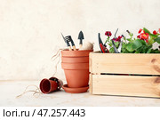 Садовые инструменты и горшечные цветы на светлом фоне. Стоковое фото, фотограф Pixel_shot / Фотобанк Лори