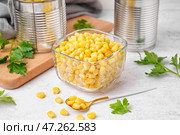 Миска с кукурузными зернами, консервными банками, ложкой и петрушкой на белом столе. Стоковое фото, фотограф Pixel_shot / Фотобанк Лори