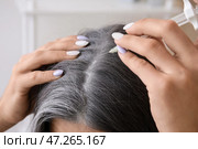 Женщина с седеющими волосами использует сыворотку в домашних условиях, крупным планом. Стоковое фото, фотограф Pixel_shot / Фотобанк Лори
