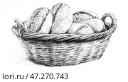 A detailed graphic sketch of a basket of bread, made in black and white line drawing. The basket contains several types of bread, differing in shape and texture, with characteristic cuts and a crispy crust. The wicker basket is drawn in detail, taking into account the texture of the vine, which gives the drawing volume and realism. The image is made in a classic style, reminiscent of old illustrations or vintage engravings.This drawing symbolizes coziness, home warmth and traditional crafts. It can be associated with baking, farming and natural products. Стоковое AI-изображение, AI-художник Анна Кривицкая / Фотобанк Лори
