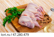 Raw gutted partridges on wooden table with seasonings and greens. Стоковое фото, фотограф Яков Филимонов / Фотобанк Лори