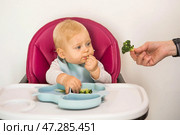 Baby food. The first meal. Feeding the baby. A cute little kid eats vegetables. Healthy food. The child is sitting on a high chair for feeding. Fresh vegetables and fruits. Стоковое фото, фотограф Photojuli / Фотобанк Лори