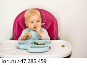 Baby food. The first meal. Feeding the baby. A cute little kid eats vegetables. Healthy food. The child is sitting on a high chair for feeding. Fresh vegetables and fruits. Стоковое фото, фотограф Photojuli / Фотобанк Лори