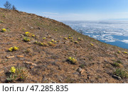 Scenic spring landscape of Siberian Baikal Lake with melting ice floes on blue water and blooming wild yellow irises on rocky shore of Olkhon Island in sunny May day. Natural spring background. Стоковое фото, фотограф Виктория Катьянова / Фотобанк Лори