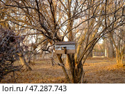 Самара Загородный парк осенью, кормушка. Стоковое фото, фотограф Ольга Коркина / Фотобанк Лори