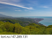 Панорамный вид на Черное море, Адлер и Кудепсту с горы Ахун.Сочи. Краснодарский край. Россия  (2021 год) Стоковое фото, фотограф Юлия Кутыгина / Фотобанк Лори