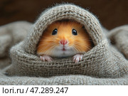 An adorable hamster with reddish-gold fur, who is snugly wrapped in a knitted woolen blanket. His little paws are peeking out from under the blanket, and his beady eyes sparkle, reflecting the light. His pink nose and fluffy whiskers make him look especially cute. The background is soft and neutral, creating a feeling of warmth and coziness. The image conveys an atmosphere of comfort, care and privacy. Стоковое AI-изображение, AI-художник Анна Кривицкая / Фотобанк Лори