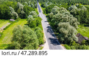 Автомобильная дорога через лес. Село Селец, Брянская область, Россия (2021 год). Стоковое фото, фотограф Господин Никто / Фотобанк Лори
