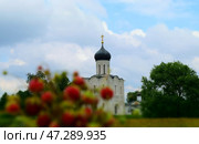 Церковь Покрова на Нерли, сквозь ягоды земляники, 2018 год. Редакционное фото, фотограф Photolart / Фотобанк Лори