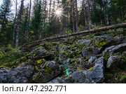 Южный Урал, курумник на подъёме на Айгирские скалы (Зубы Шурале). Southern Urals, stone placer on the ascent to the Aigir rocks (Teeth of the Shurale). Стоковое фото, фотограф Евгений Романов / Фотобанк Лори