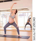 Pregnant woman is engaged in yoga. Extended Side Angle Pose or Utthita Parsvakonasana. Стоковое фото, фотограф Татьяна Яцевич / Фотобанк Лори