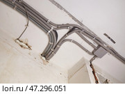 The electrical wires in the protective corrugated cable tube and the junction box are neatly laid on the ceiling. Стоковое фото, фотограф Виктория Тельминова / Фотобанк Лори