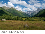 View of the floodplain of the Gonachkhir River in the northern foothills of the Caucasus Mountains near the village of Dombay on a sunny summer day, Karachay-Cherkessia, Russia. Стоковое фото, фотограф Ula Ulachka / Фотобанк Лори