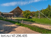 View of an ancient log building on the territory of the Pushkin village in Bugrovo of the Pushkin Museum-Reserve on a sunny summer day, Pushkinskiye Gory, Pskov region, Russia. Стоковое фото, фотограф Ula Ulachka / Фотобанк Лори