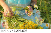 girl walking through a meadow and loops through wildflowers. Стоковое видео, видеограф Алексей Сергеев / Фотобанк Лори
