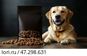 Happy Labrador resting beside dog food bag mockup on a wooden surface. Счастливый лабрадор отдыхает рядом с пакетом с собачьим кормом на деревянной поверхности. Стоковое AI-изображение, AI-художник Katsiaryna Repich / Фотобанк Лори