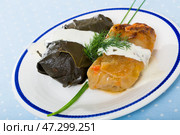 Bulgarian cuisine - Sarma (or Dolma) Стоковое фото, фотограф Яков Филимонов / Фотобанк Лори