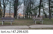 A serene park featuring benches beautifully surrounded by tall trees and lush greenery, Стоковое видео, видеограф Vladimir Vintonjak / Фотобанк Лори