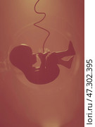 Human fetus in the womb. Стоковая иллюстрация, иллюстратор Happyphotons / Фотобанк Лори