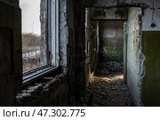 Коридор в заброшенном здании. Облупившаяся краска на потрескавшихся стенах. Мусор на полу. Руины в заброшенном городе-призраке. Вид из окна на заросшую улицу. Тревожное мрачное настроение. Магаданская область, Россия. Стоковое фото, фотограф Андрей Степанов / Фотобанк Лори