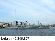 Военные корабли в бухте Золотой Рог. Владивосток (2022 год). Редакционное фото, фотограф Free Wind / Фотобанк Лори