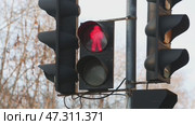 crazy traffic light. Стоковое видео, видеограф Алексей Сергеев / Фотобанк Лори
