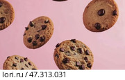 Cookies Levitation. Creative food template. Chocolate chip cookie bursting flying in midair on a pink color background. Magazine, banner, advertisement. Copy text space. Falling broken biscuits. Стоковое AI-видео, аниматор Марина Демидюк / Фотобанк Лори