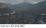 Зимние ели. Стоковое видео, видеограф Карина / Фотобанк Лори