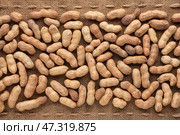 Unshelled peanut. Стоковое фото, фотограф Александр Собко / Фотобанк Лори