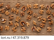 Peeled walnut. Стоковое фото, фотограф Александр Собко / Фотобанк Лори