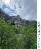 An impressive mountain landscape of Crimea. Below are dense green bushes and young trees, among which rocky soil can be seen. Above them rises a powerful rock with sharp ledges, covered with rare pine trees, as if they grew straight from the stone. The sky above the mountain is changeable: dramatic clouds with gaps of blue and soft sunlight breaking through the clouds. The atmosphere is powerful, alive, like the breath of the earth itself. (2021 год). Стоковое фото, фотограф Анна Кривицкая / Фотобанк Лори