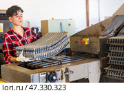 Attentive plantation female worker loading empty trays in automatic seed planting line preparing for planting seeds in greenhouse. Стоковое фото, фотограф Яков Филимонов / Фотобанк Лори