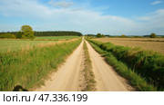 A long dirt road meanders through vibrant green fields and patches of trees beneath a bright blue sky, inviting exploration on a warm afternoon. Стоковое AI-изображение, AI-художник Sergey Grishin / Фотобанк Лори