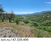A picturesque landscape of southeastern Crimea. The panorama opens from a hill: in the foreground are dry grass, bushes and lonely trees. Below is a green valley, turning into vineyards, and further on are settlements scattered along the slopes. Behind them is a mountain range, and on the horizon you can see a shiny strip of sea. A clear sky without clouds gives the frame a feeling of space, light and peace.This is a typical Crimean landscape: a combination of mountains, sea, vegetation and rural buildings, where everything breathes natural silence and freedom. Стоковое фото, фотограф Анна Кривицкая / Фотобанк Лори