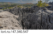 Unique Tsingy De Bemaraha. Gray karst rocks with steep, furrowed slopes and sharp, spiny peaks. A valley with green vegetation in the distance. Blue sky, clouds. Madagascar. (2023 год). Стоковое фото, фотограф Вера Ивановна Кубарева / Фотобанк Лори