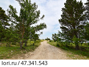 Урочище Ятор (Западный берег Байкала) Стоковое фото, фотограф Александр Тараканов / Фотобанк Лори