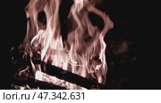 Bright flame of a burning campfire. The fire burns over stacked birch and pine firewood. Bright flame of the campfire rises high up. Tongues of yellow-orange flame wriggle. Стоковое видео, видеограф Andrew_Swarga / Фотобанк Лори