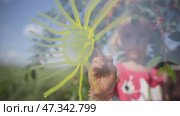 A girl of six years draws the sun on glass. Стоковое видео, видеограф Mikhail Davidovich / Фотобанк Лори